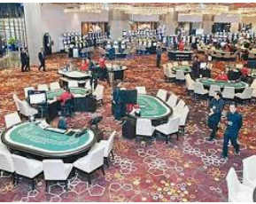 333体育2024最新版